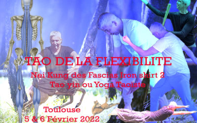 Stage Tao de la flexibilité – Février 2022
