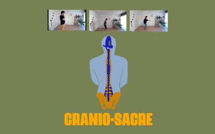 Replay Cours en ligne – Cranio-sacré – Cellules souches